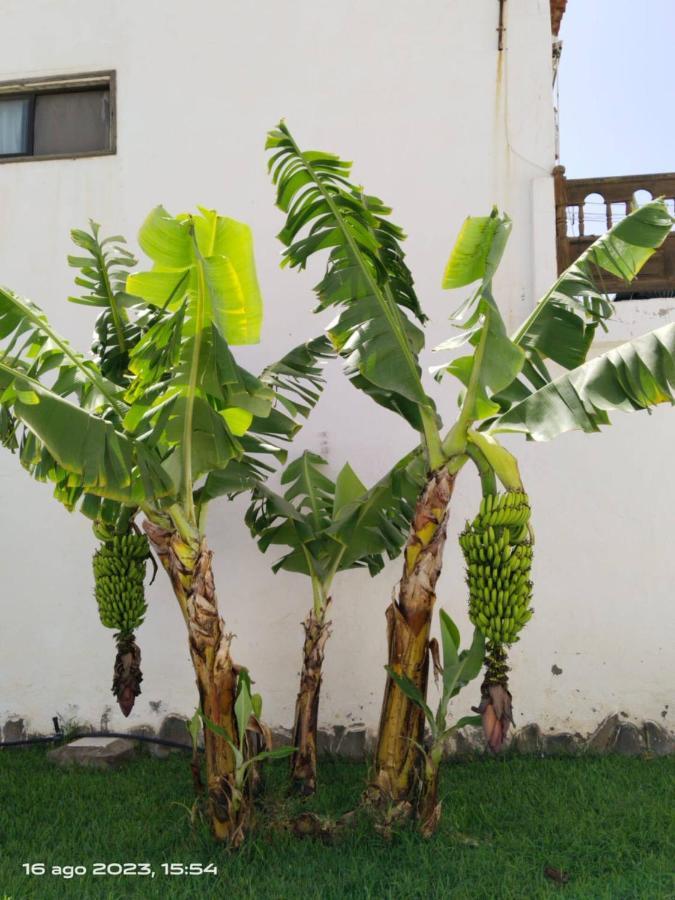 2 Camere Splendida Casa Vacanze In Tenerife Del Sur Casa Trilly Arona  Ngoại thất bức ảnh